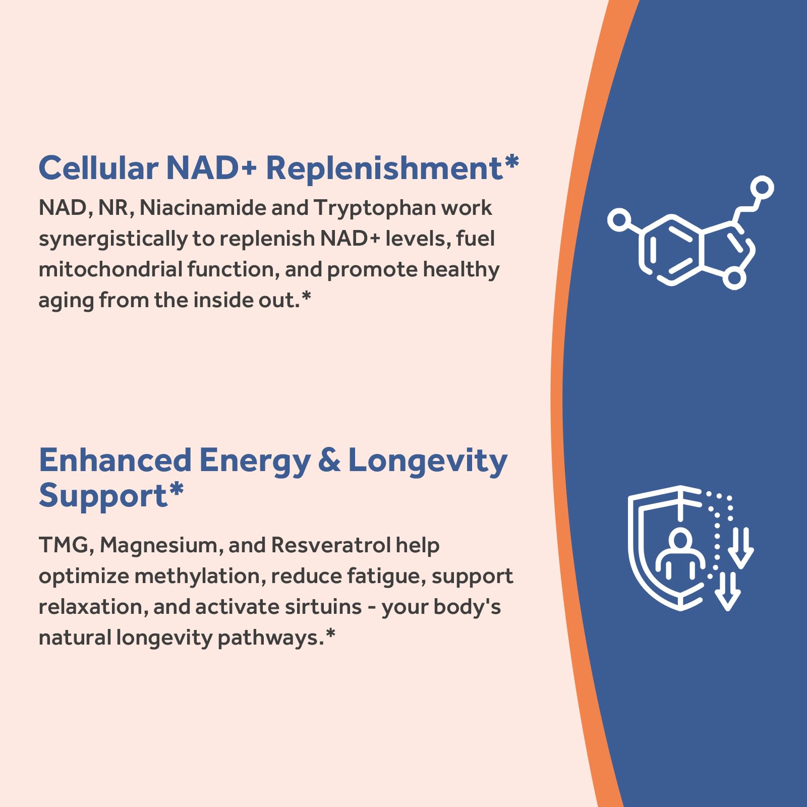 Doctor's Recipes NAD Supplement, Nicotinamide Riboside, Resveratrol, NMN Alternative for Anti-Aging, w/Magnesium Glycinate & L-Tryptophan, 650mg Per Serving, Energy & Mood Boost, 60 Vegan Capsules Doctor's Recipes Au supplements