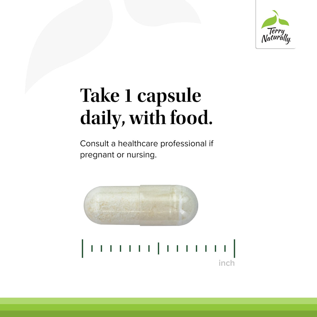 Terry Naturally FloraSure Probiotic - Digestion Supplement to Aid Against Occasional Bloating & Support Gas Relief - Gut Health Support with Bifidobacterium Bifidum - 30 Capsules (Pack of 2) Terry Naturally Au supplements