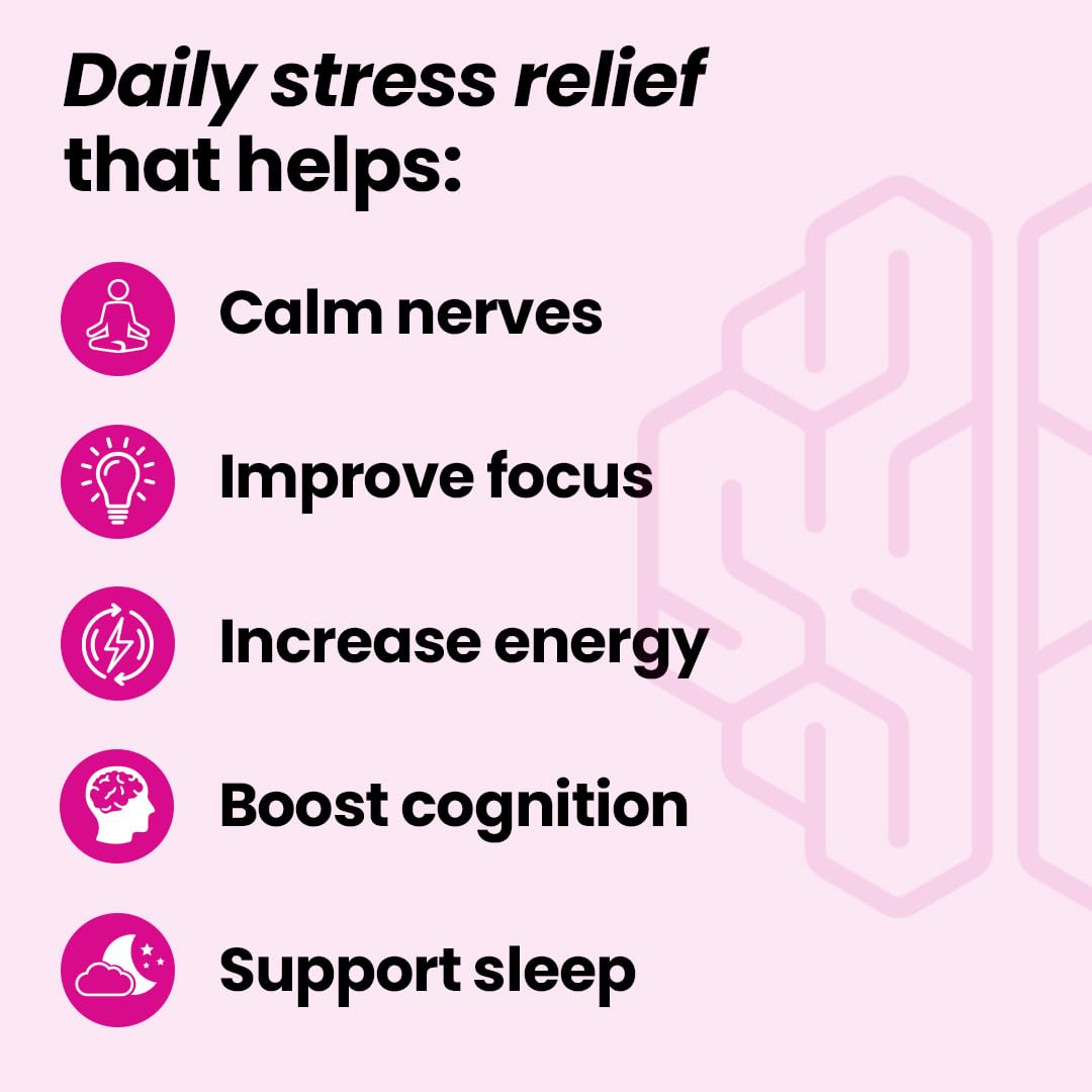 LifeSeasons NeuroQ Calm Focus Capsules - Stress Relief Supplement - Supports Mental Function & Relaxation - Sensoril Ashwagandha, Magnesium, GABA, L-Theanine, Andean Cocoa & Kava Kava - 60 Capsules LifeSeasons Au supplements