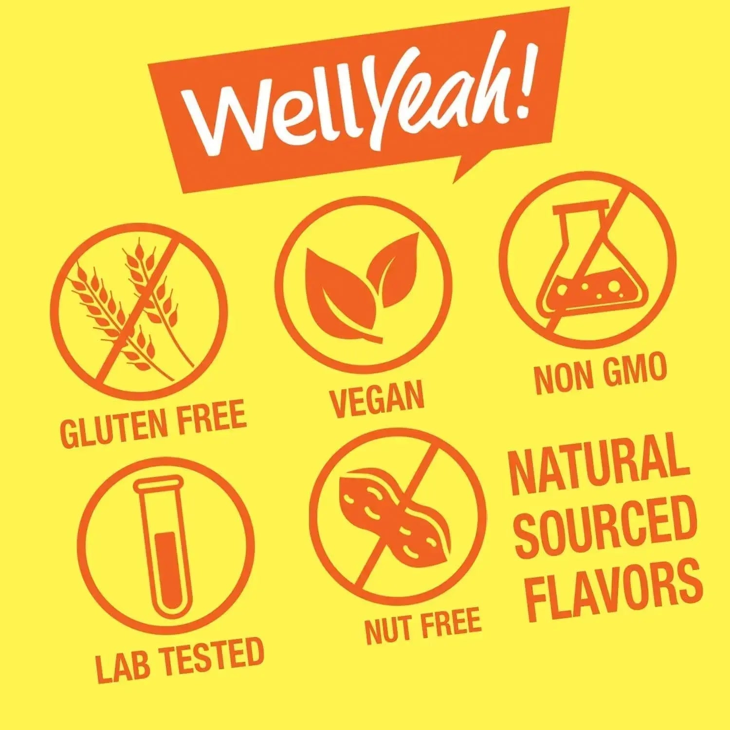 WellYeah Kids Multivitamin Gummies | Vitamin C, D3, E, A, B6, B12, Biotin, Zinc, Folic Acid, Iodine, and Niacin | Immune and Energy Support WellYeah Au supplements