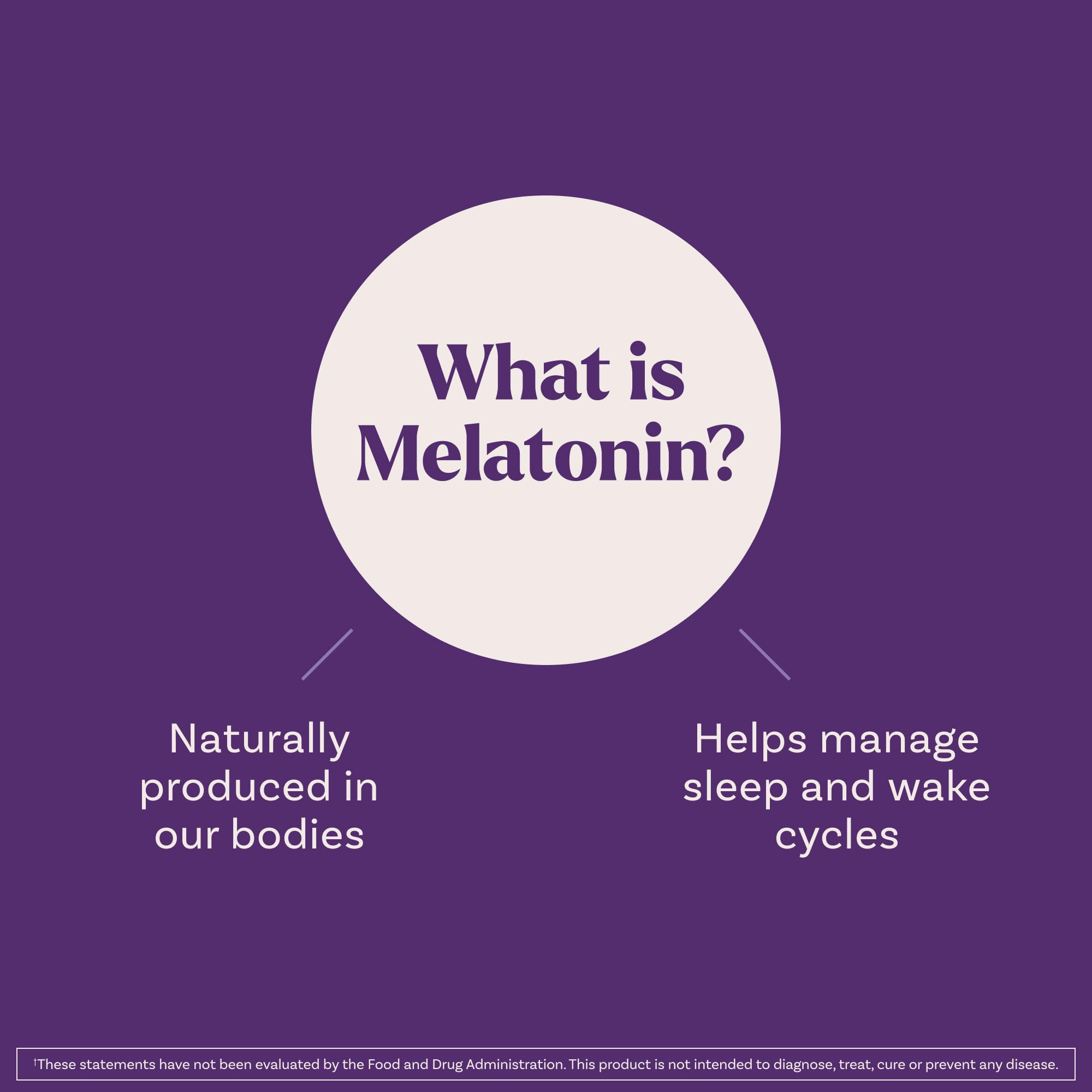 Natrol Liquid Melatonin 1 mg, Adult Melatonin Supplement to Fall Asleep Faster and Stay Asleep Longer, Wake Up Refreshed,