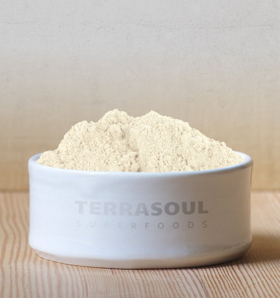 Terrasoul Superfoods Organic Psyllium Husk Powder, 1 Lb - Superfine Texture | 99% Purity | Perfect for Gluten-Free Baking | No Purple Breads