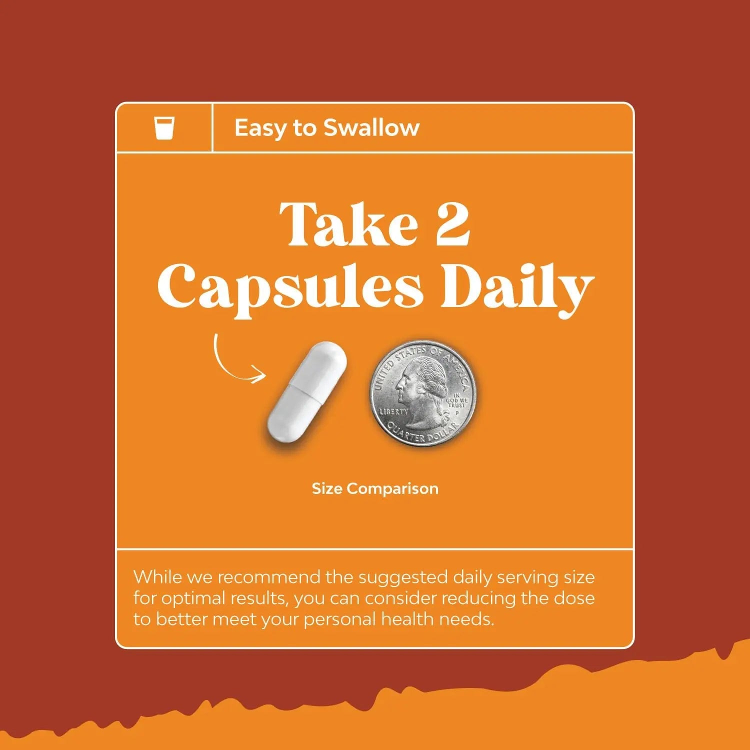 Natural White Kidney Bean Extract - White Kidney Bean Energy Booster AMPK Activator Natures Craft Au supplements