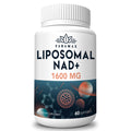 Fabamax 1600 mg Liposomal NAD Supplement, 98% Pure NAD+ Supplement, Superior Absorption, Alternative to Nicotinamide Riboside or NADH to Boost NAD+ for Aging Defense, Energy, Longevity,60 Softgels Fabamax Au supplements