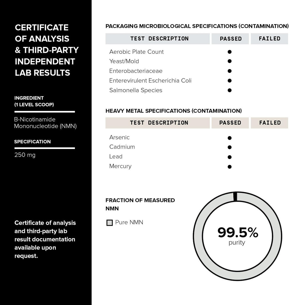 Toniiq Ultra High Purity NMN Powder - 100 Grams - 99.5% Highly Purified and Highly Bioavailable - Fully Stabilized Formula - Supports NAD+ Levels - Nicotinamide Mononucleotide Powder Supplement Toniiq Au supplements