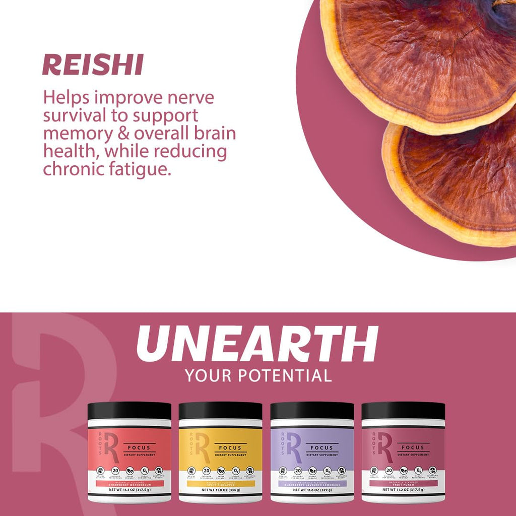 Roots Focus Brain Supplement - Nootropic Mushroom Supplement Powder for Memory, Focus, Energy - Lion's Mane, Cordyceps, and Reishi Mushrooms with Caffeine - Blackberry Lemonade, 15 On the Go Packets Silver Star Nutrition Au supplements