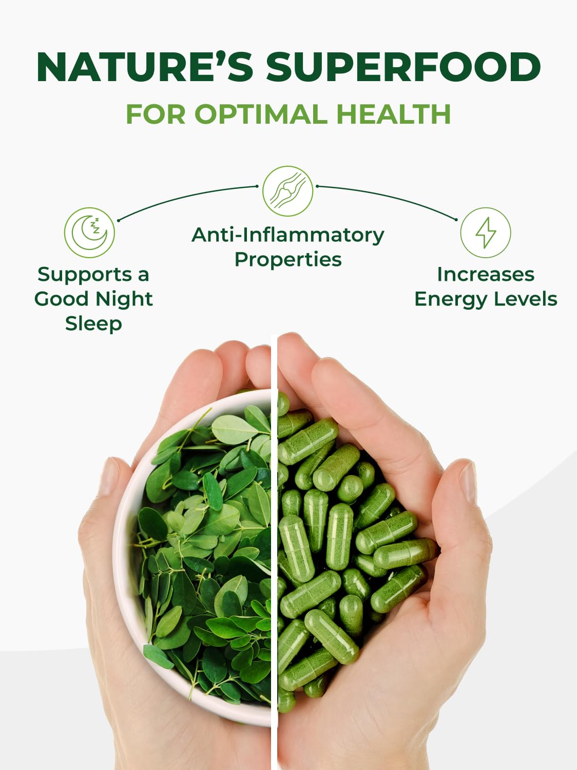 PURA VIDA MORINGA Organic Moringa Capsules, Pure Moringa Leaf Powder Single Origin for Energy, Metabolism & Immune Support