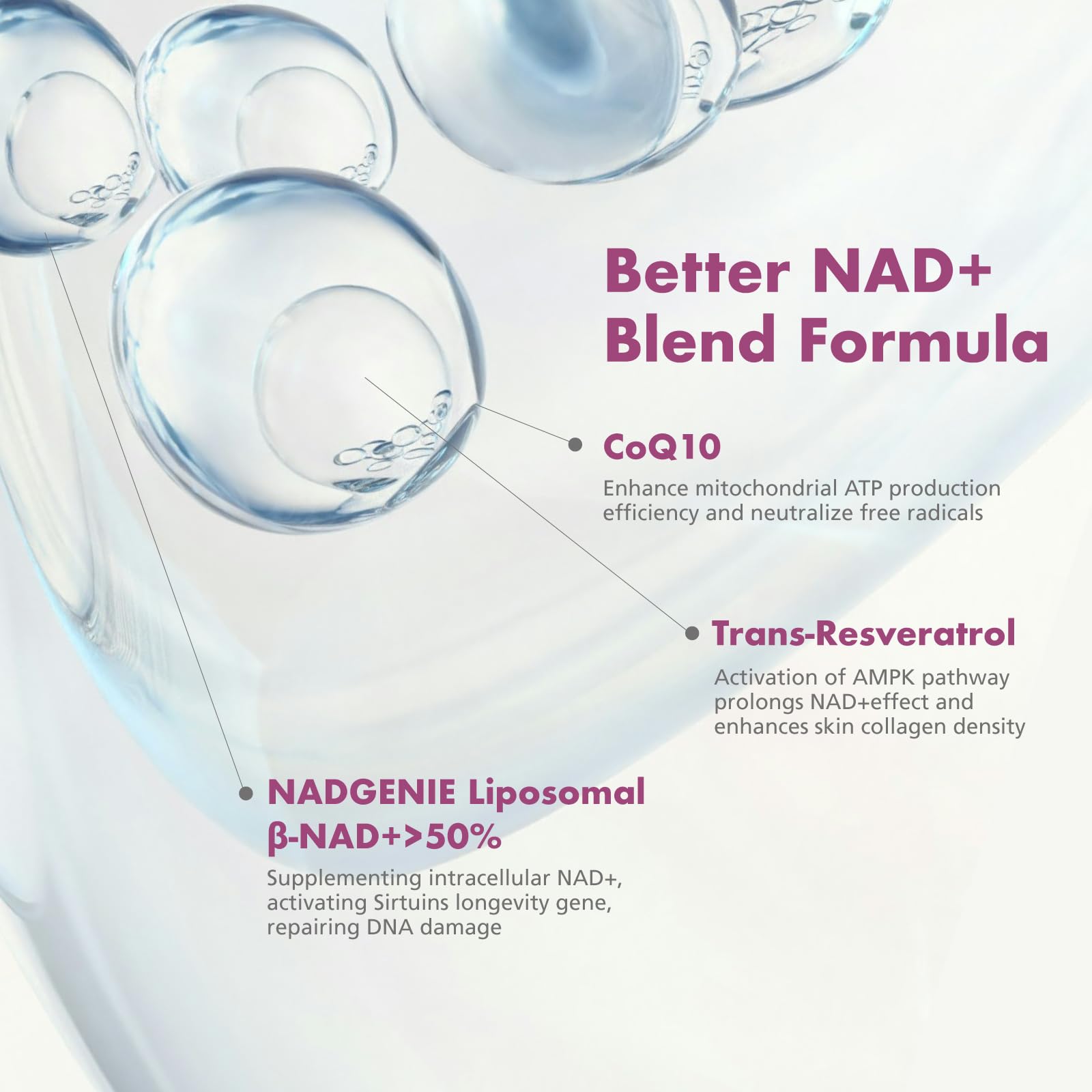 VHC NAD+ Supplement, NMN Alternative Liposomes with CoQ10, Trans-Resveratrol for Women & Men,Support Energy, Anti-Aging,Focus,90 Capsules VHC Au supplements