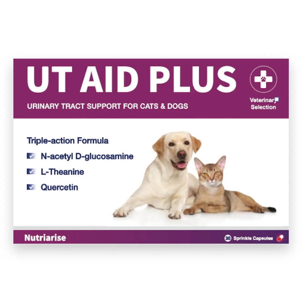 NUTRIARISE Natural UTI Treatment for Cats & Dogs – Antibiotic-Free Urinary Tract Infection Support Supplement – Bladder & Kidney Health – Incontinence Prevention – 30 Capsules NUTRIARISE Au supplements