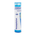 Boiron Harpagophytum 6C Homeopathic Medicine for Minor Aches and Pain Associated with Arthritis Boiron Au supplements