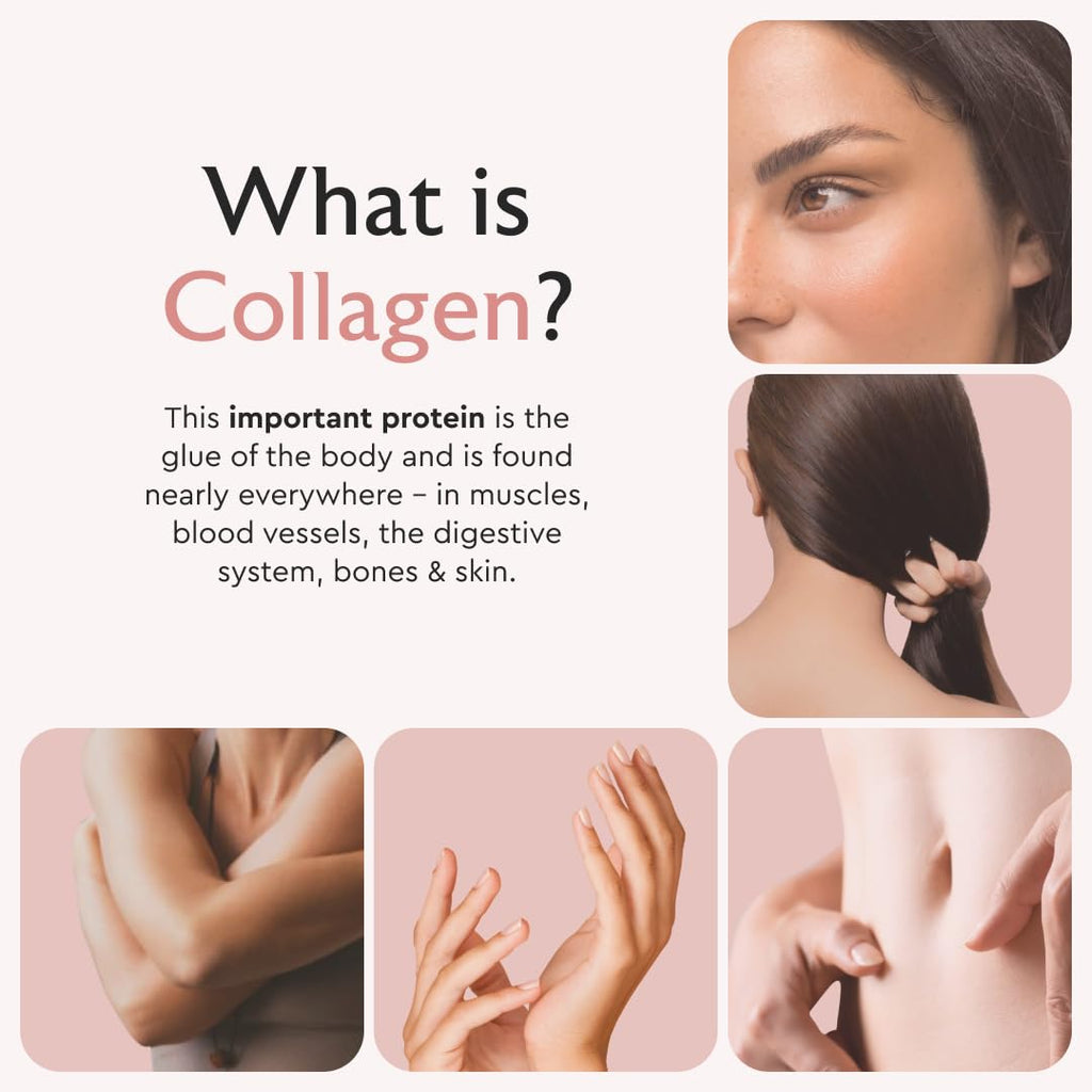 Alaya Naturals Hydrolyzed Multi Collagen Peptides Protein Capsules - Type I, II, III, V, X Grass-Fed Bovine, Chicken, Marine Collagen Supplement with MSM
