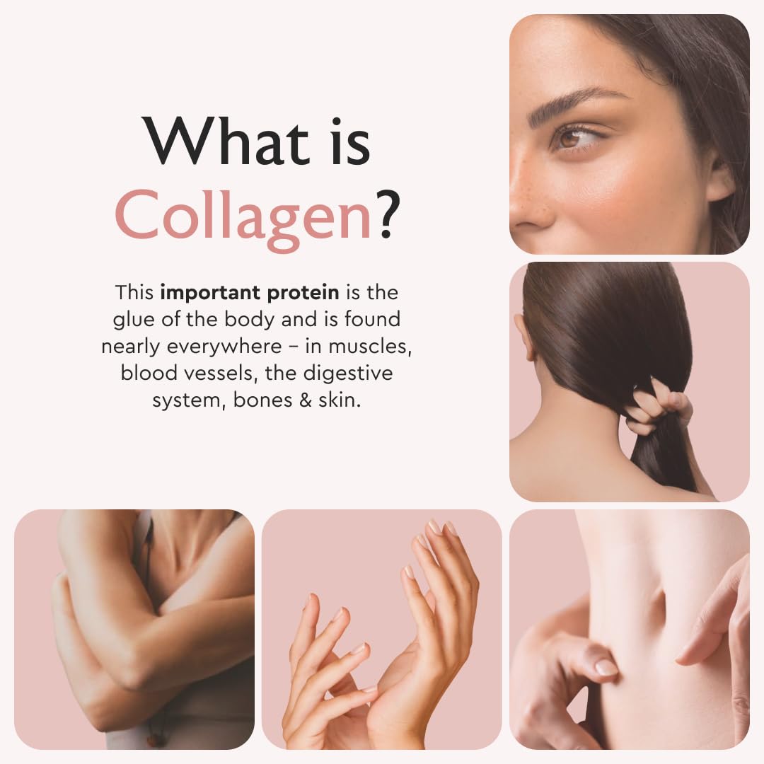 Alaya Naturals Hydrolyzed Multi Collagen Peptides Protein Capsules - Type I, II, III, V, X Grass-Fed Bovine, Chicken, Marine Collagen Supplement with MSM