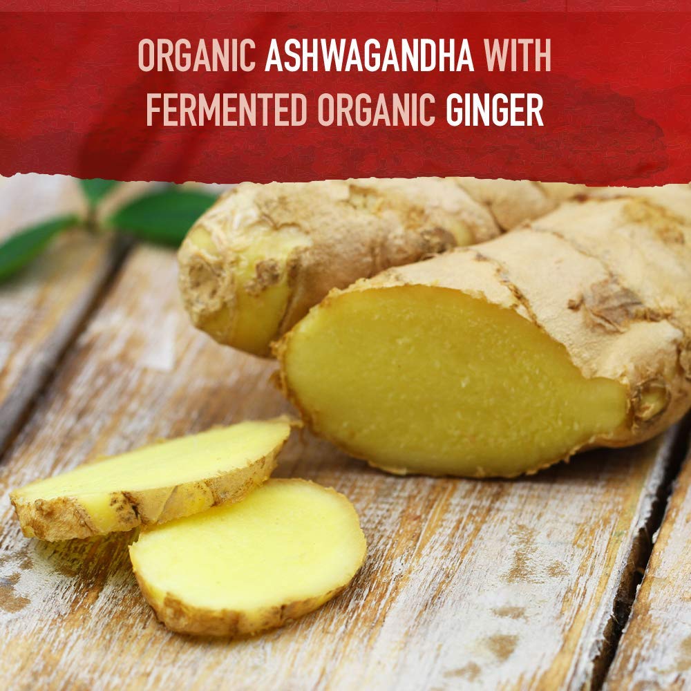 Garden of Life Organic Ashwagandha Supplement with Probiotics & Ginger - Stress, Mood & Energy Support, Vegan, Gluten Free