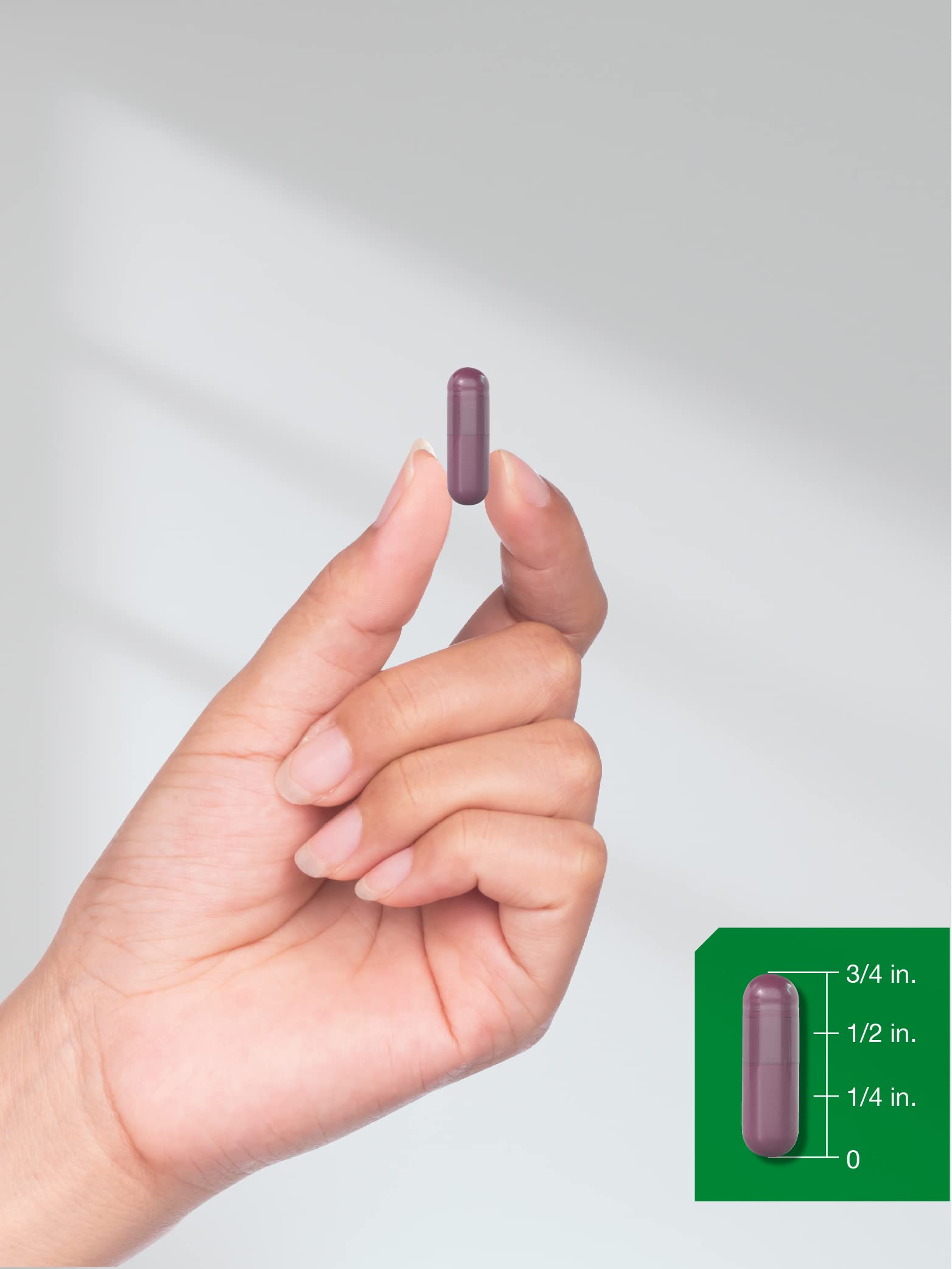 Horbäach Beet Root Powder Capsules | 320 Pills | Non-GMO, Gluten Free Formula | High Potency Herbal Extract Supplement