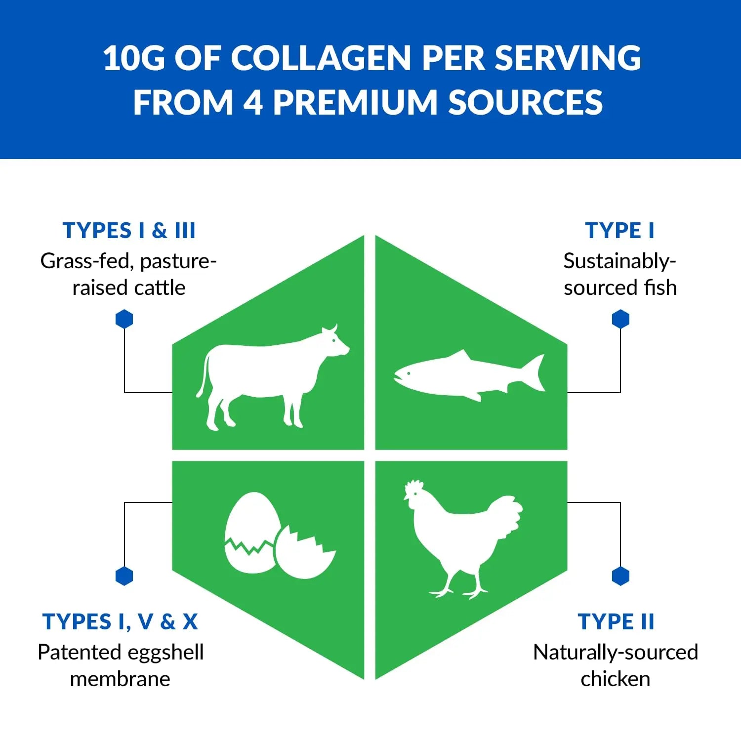 BioTrust Ageless Multi Collagen Peptides Powder – 5 Types (I, II, III, V, X) – Hydrolyzed BioTrust Au supplements