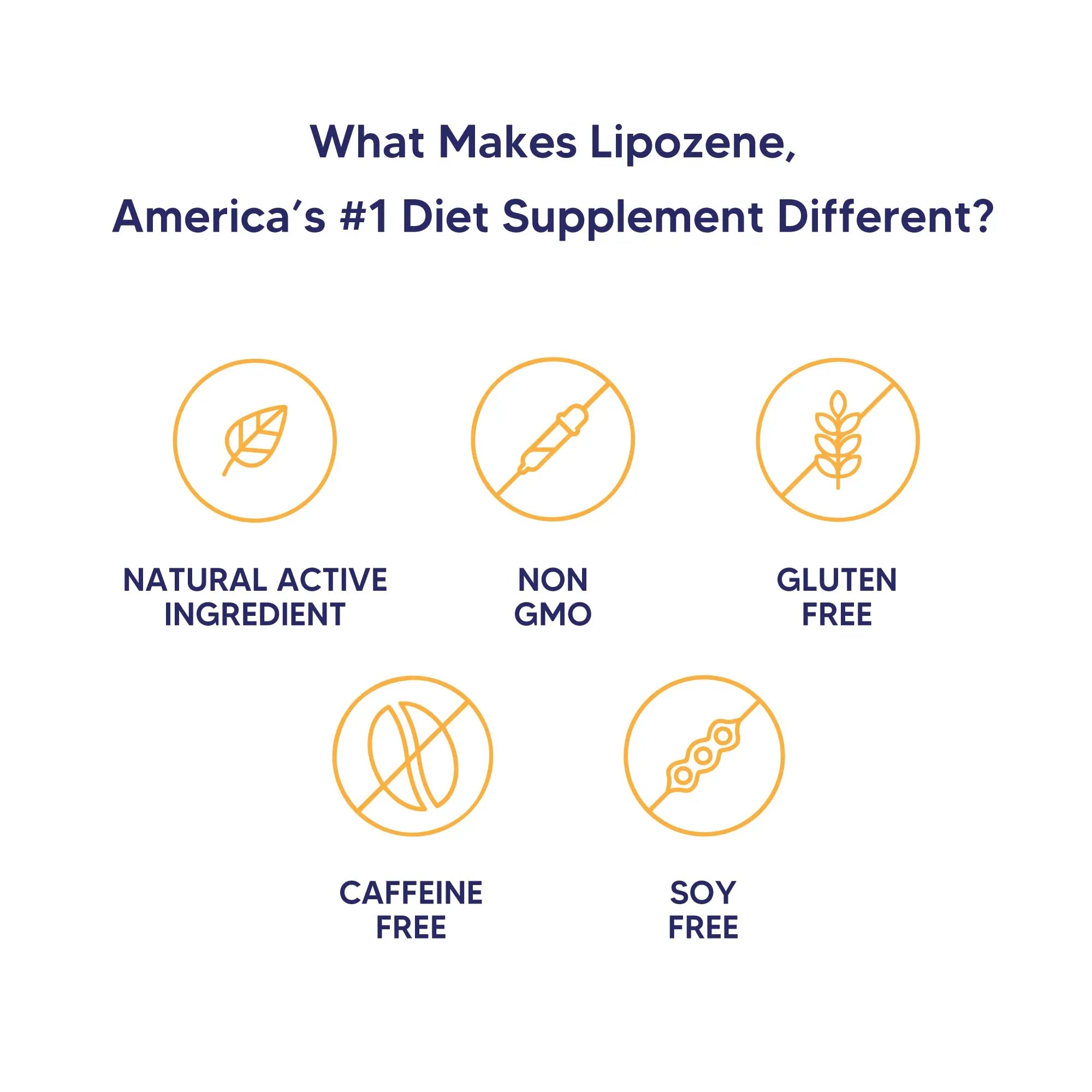 Lipozene Diet Pills - Weight Loss Supplement - Appetite Control - Two Bottles of 30 Capsules Lipozene Au supplements