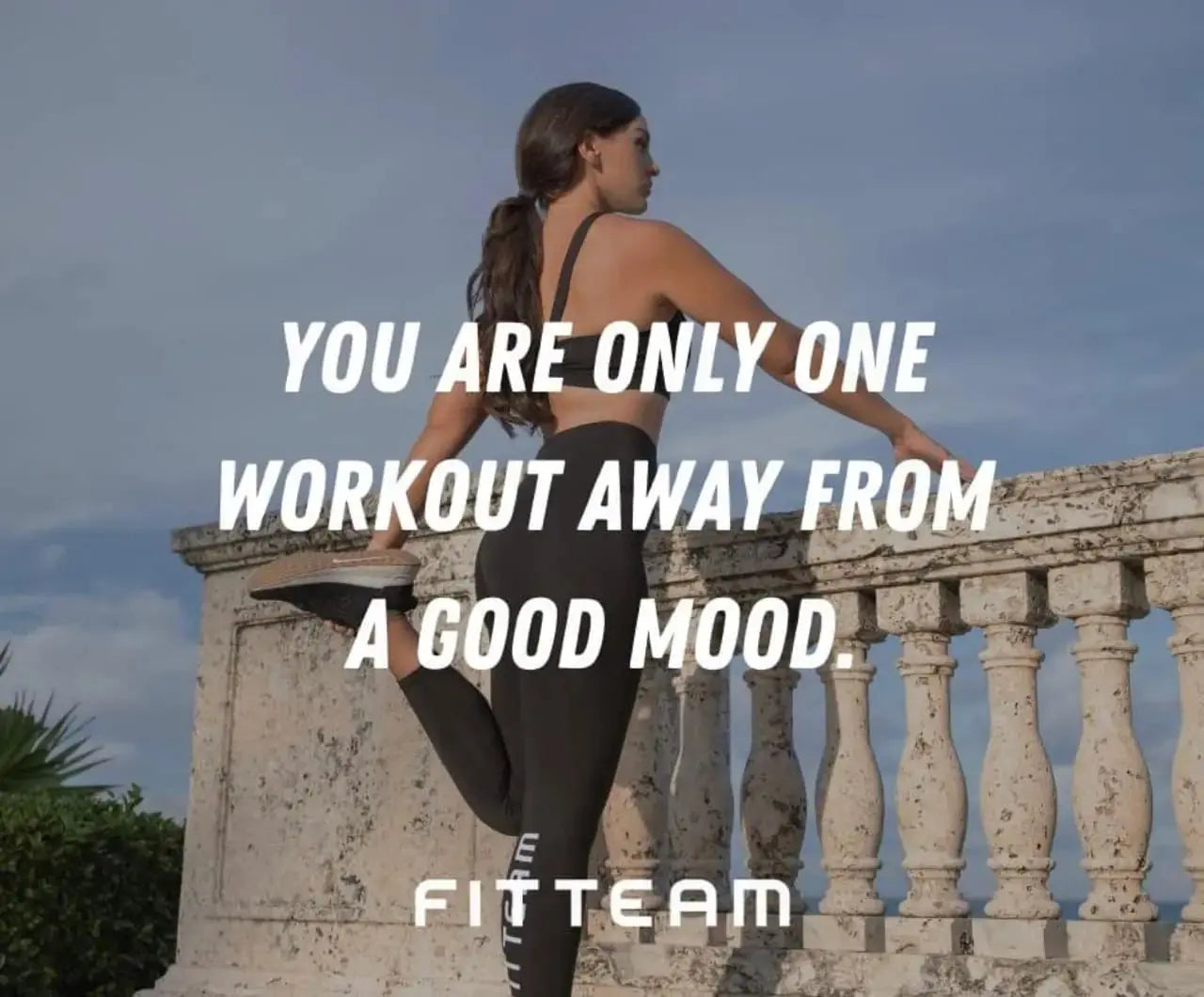 Fitteam Fit 30 Individual Sticks (30 Day Supply) New Improved Formula Fitteam Au supplements