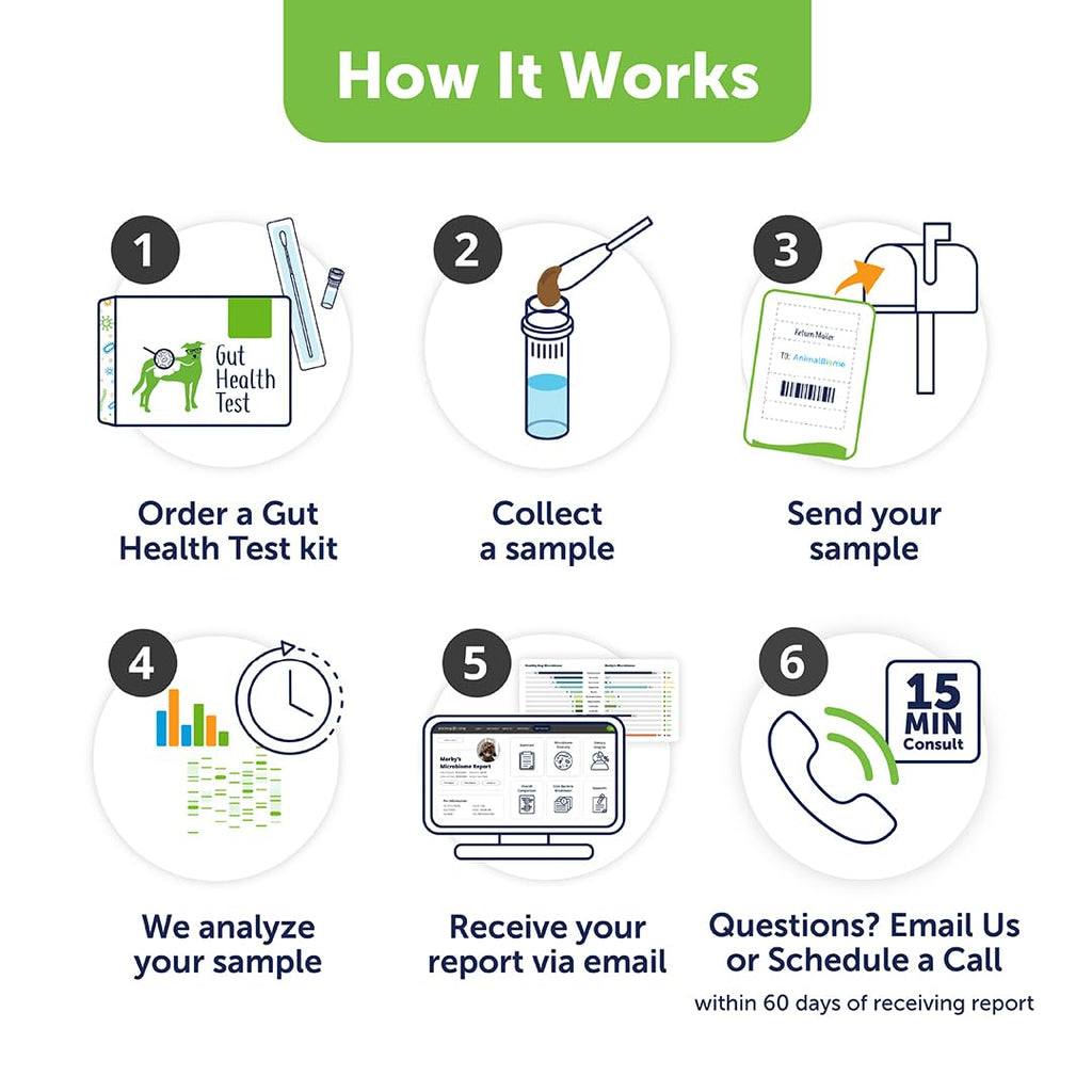 AnimalBiome Dog Gut Health Test – DoggyBiome At Home Stool Testing Kit, Canine Fecal Analysis for Digestive Issues, Diarrhea & Allergy Insights w/Personalized Report & Custom Plan (Dogs Outside US) AnimalBiome Au supplements