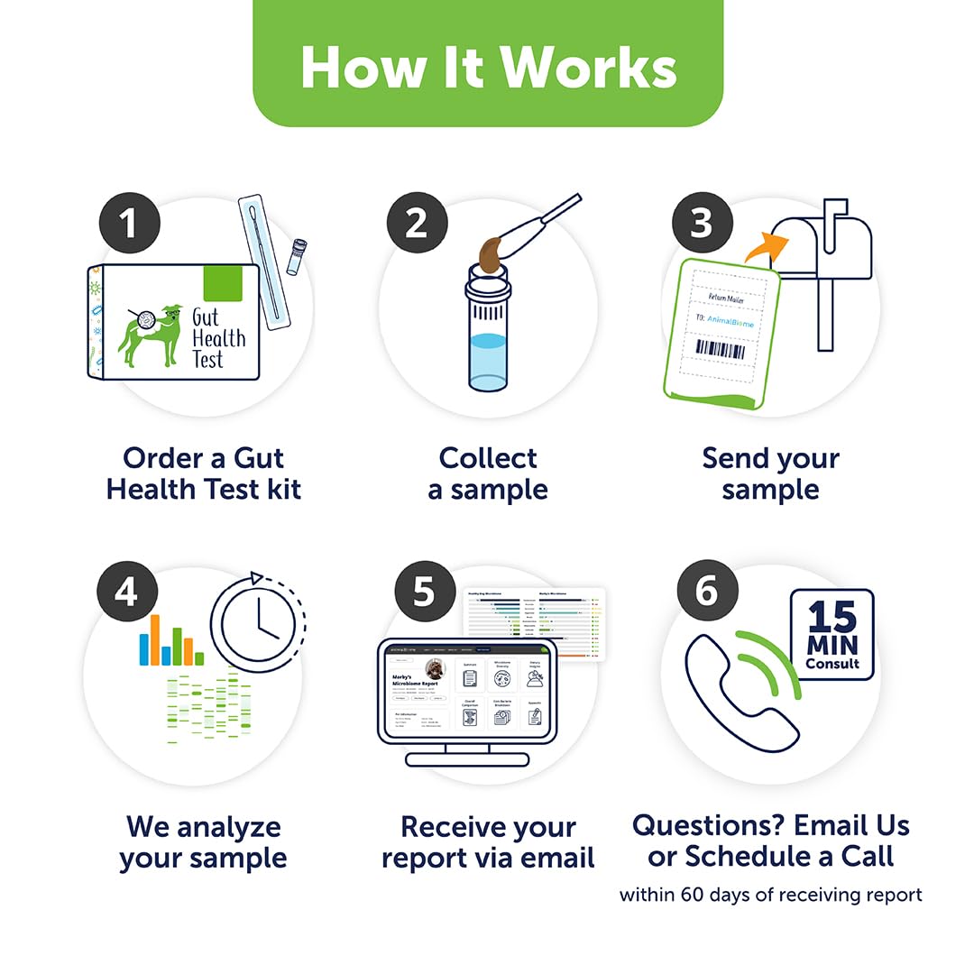 AnimalBiome Dog Gut Health Test – DoggyBiome At Home Stool Testing Kit, Canine Fecal Analysis for Digestive Issues, Diarrhea & Allergy Insights w/Personalized Report & Custom Plan (Dogs Outside US) AnimalBiome Au supplements