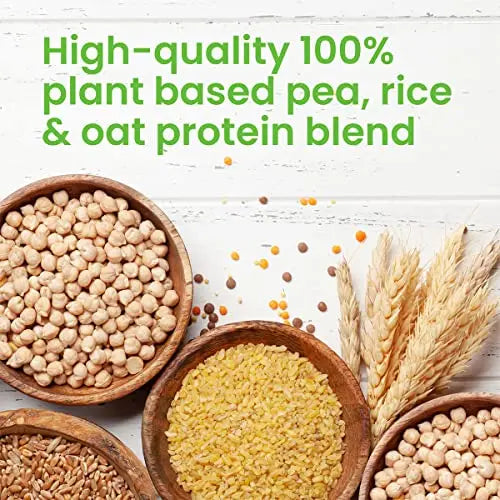 VPlab Vegan Protein Powder 500g - 16 Servings, 100% Plant Based and Natural Vegan Protein Shake vplab nutrition Au supplements