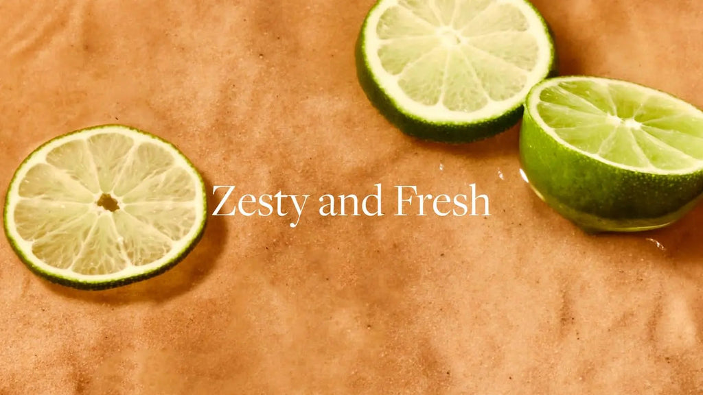 Aera Mini Skylar Lime Sands Home Fragrance Scent Refill - Notes of Lime and Sea Salt - Works AERA Au supplements