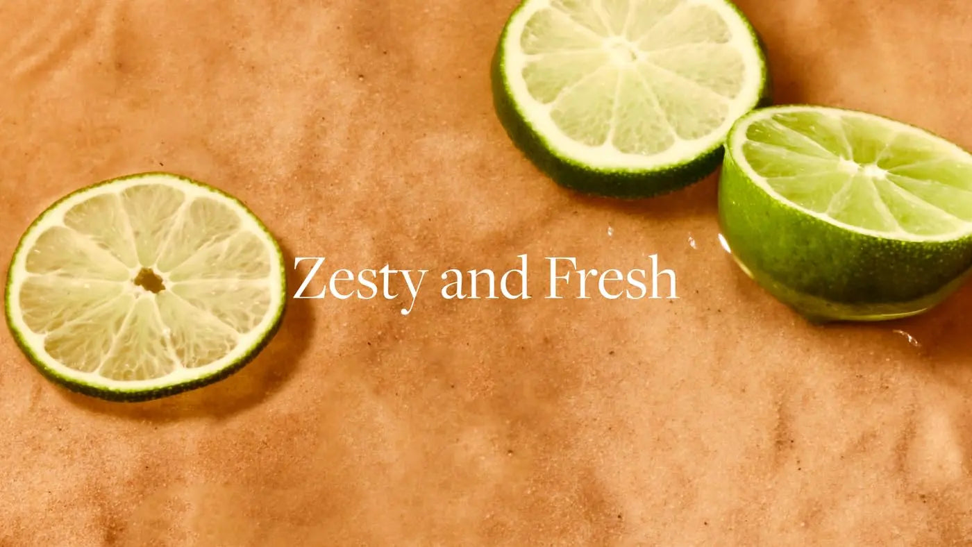 Aera Mini Skylar Lime Sands Home Fragrance Scent Refill - Notes of Lime and Sea Salt - Works AERA Au supplements