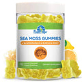 Sea Moss Gummies Plus Organic Bladderwrack and Burdock Root. Tasty Alternative to Sea Flamingo Supplements Au supplements
