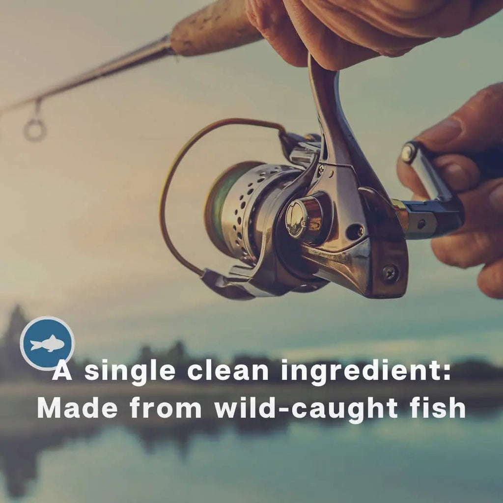 Marine Collagen Peptides (400g) | Hydrolysed from Wild Caught North SEA Cod Miracle Greens Au supplements