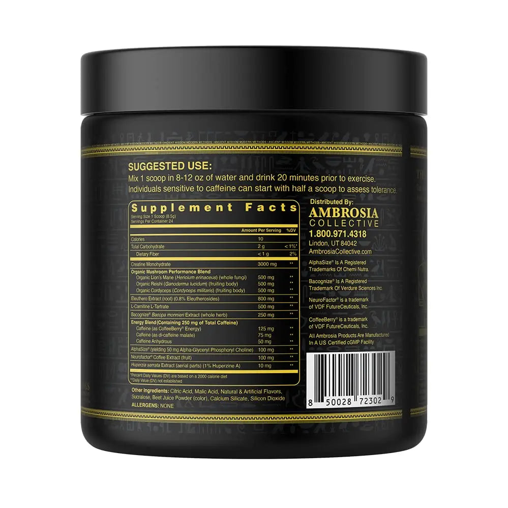 Ambrosia Kinetic Organic Preworkout, Mushroom Enhanced Natural Pre Workout Supplement Ambrosia Au supplements