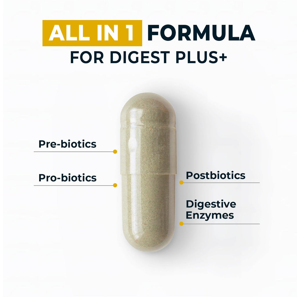 4-in-1 Prebiotic Probiotic & Postbiotic for Women & Men, Complete Gut & Digestive Support Supplement, Pre Post Probiotics & Digestive Enzymes 60 Capsules,Made in USA Divinity Nutra Au supplements