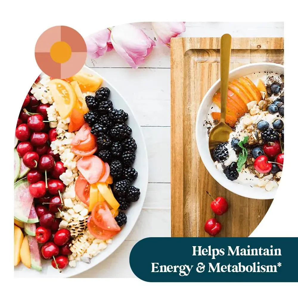 Pattern Wellness Multivitamin for Men & Women – Vitamin A, B, C, D, E – Supports Energy & Wellness – Whole Body Health Pattern Wellness Au supplements
