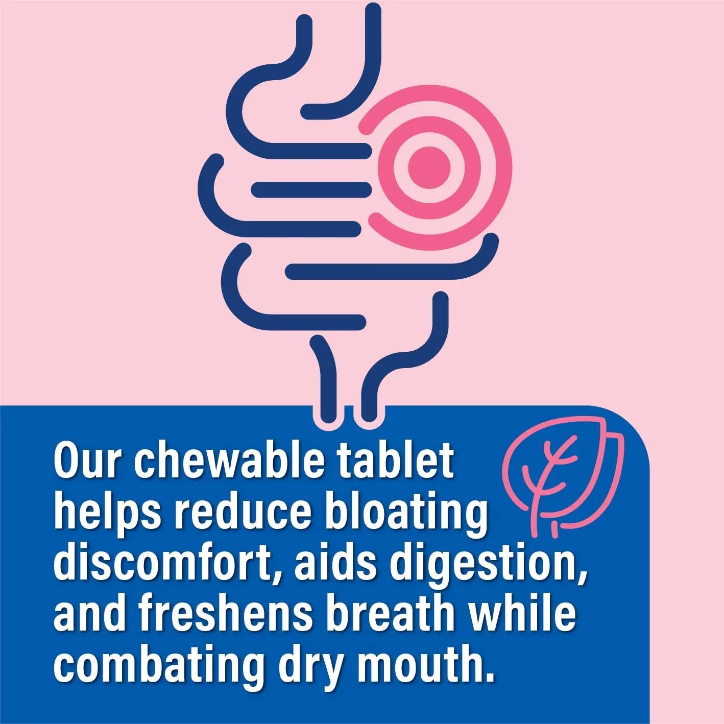 Probiotiv Chewable Probiotics for Daily Bloating w/ 5 Billion CFU – “Two-in-One Combo” Probiotiv Au supplements