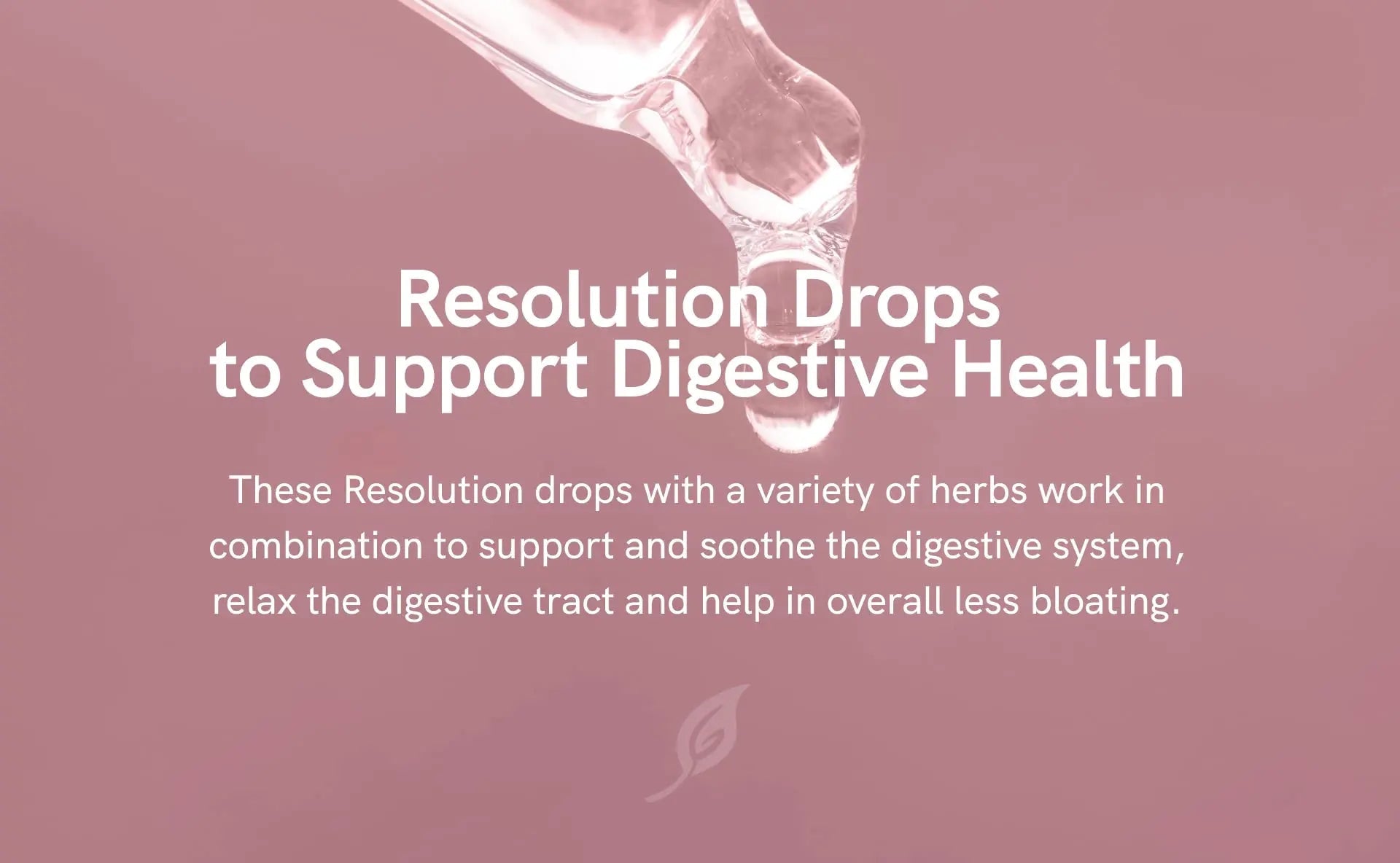Liver Cleanse Detox & Repair Drops with Milk Thistle Extract, Dandelion Root Extract & Artichoke Ultra6 Nutrition Au supplements