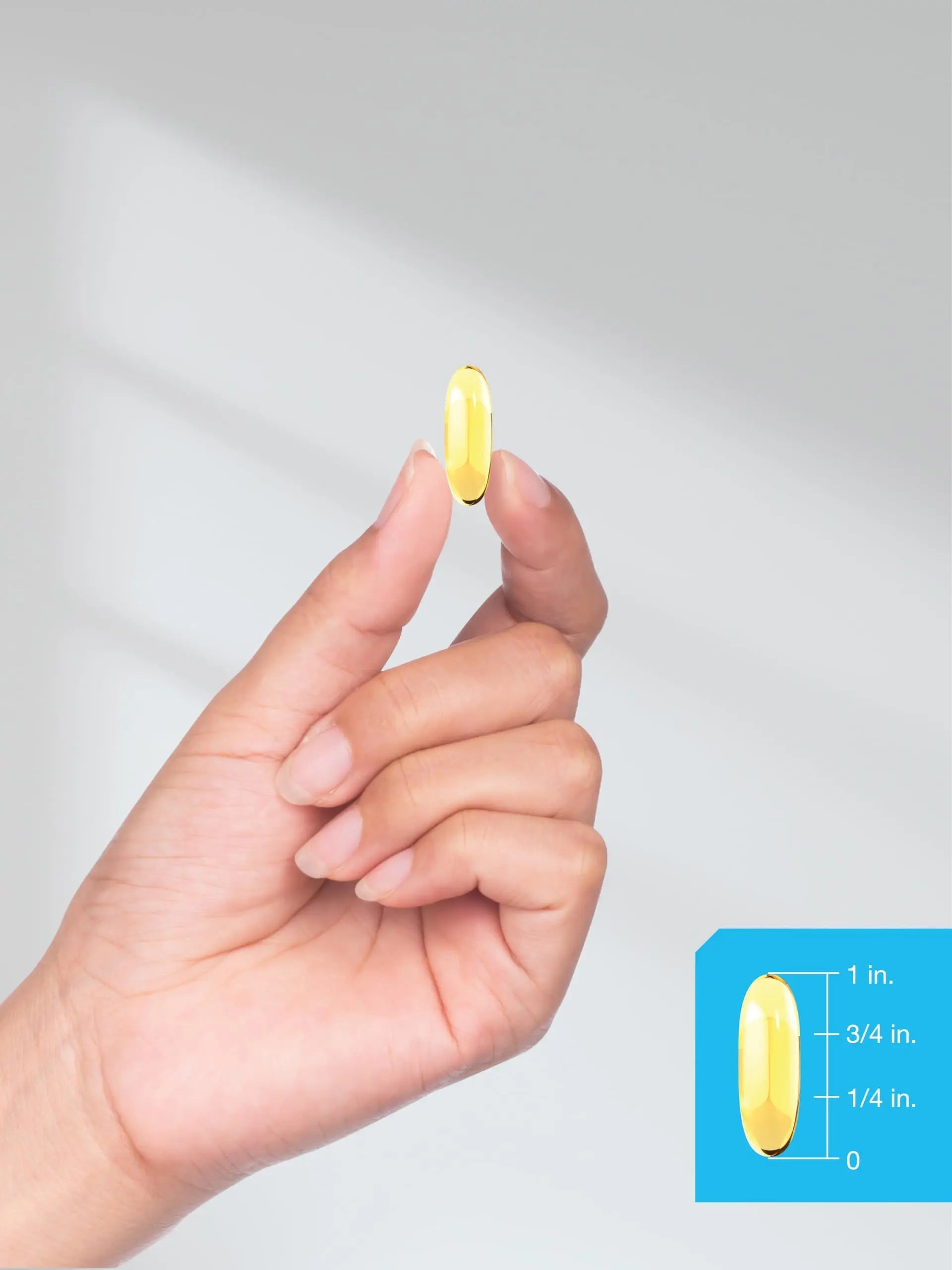 Triple Omega 3-6-9 240 Softgels | from Fish, Flaxseed, Borage Oils | Non-GMO & Gluten Horbäach Au supplements