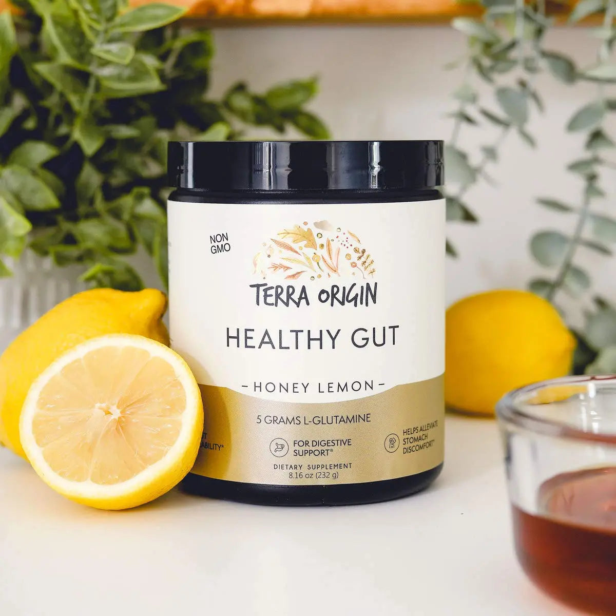 TERRA ORIGIN Healthy Gut Powder (Honey Lemon) | 30-Servings with L-Glutamine TERRA ORIGIN Au supplements