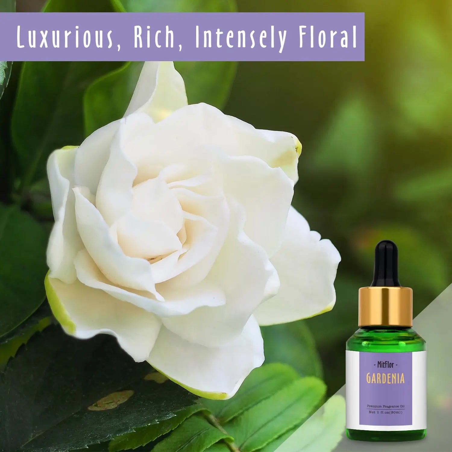 Gardenia Fragrance Oil, MitFlor Single Scented Oil, Large Size Premium Grade Fragrance Oil MitFlor Au supplements