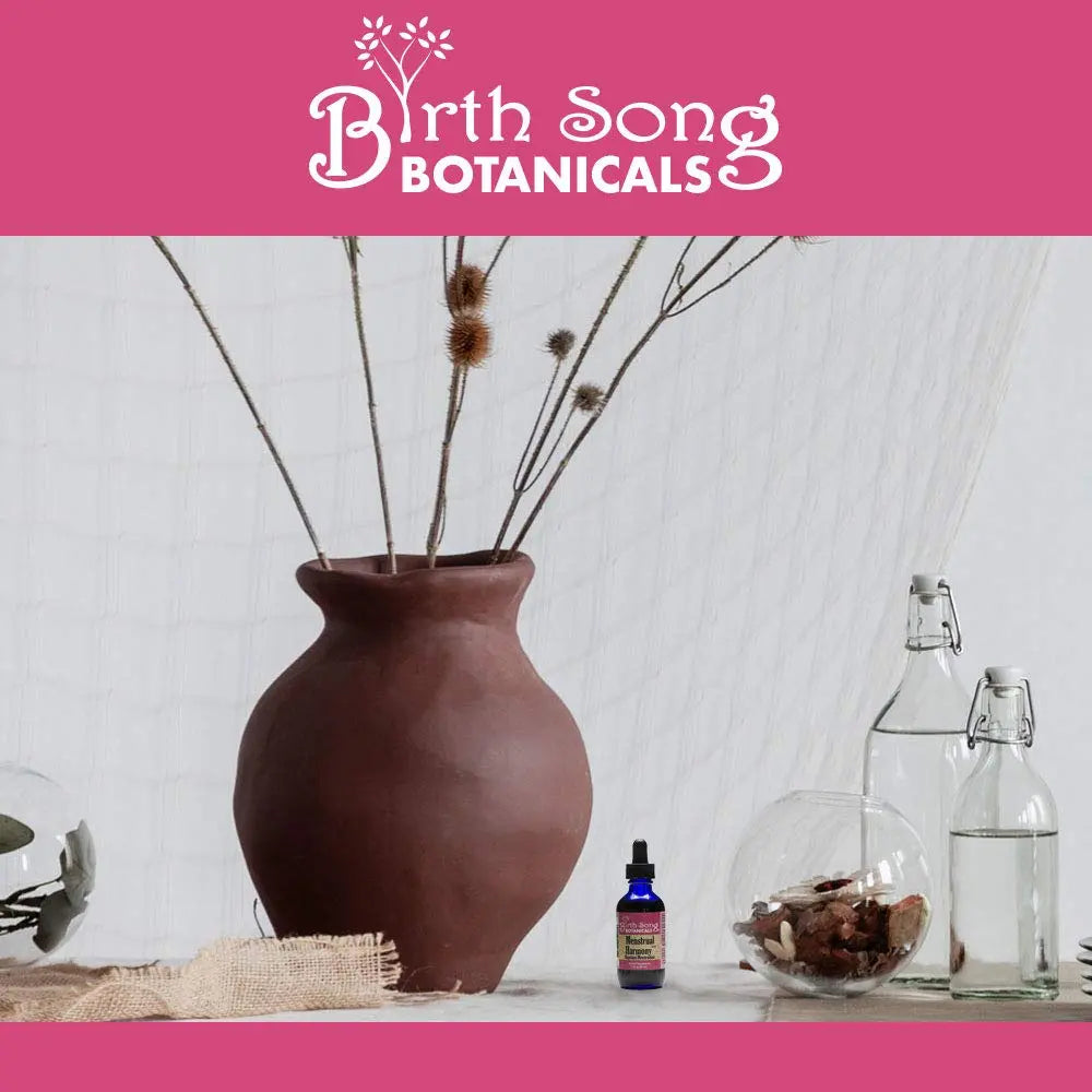 Birth Song Botanicals Menstrual Harmony Tincture, Herbal Period Symptom Support Birth Song Botanicals Au supplements