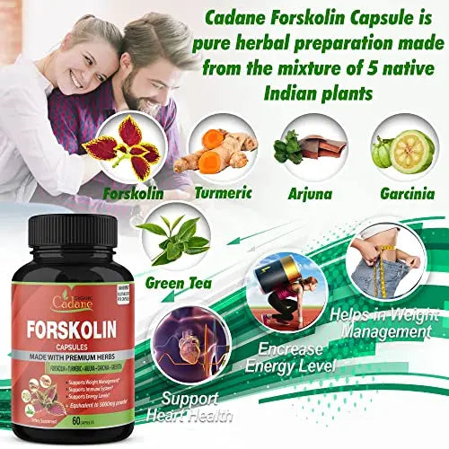 2 Packs Organic Forskolin Supplements Capsules 5000mg with Turmeric, Arjuna, Garcinia Cambogia Organic Cadane Au supplements