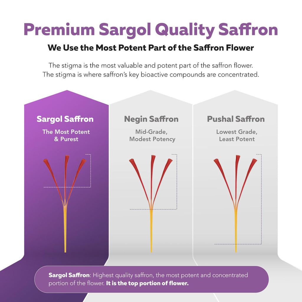 Organic Saffron Extract: Optimized Extract with Safromotivines, Safranal, and Crocins – Clinically Studied | Premium Persian Sargol Quality | Supports Mood,