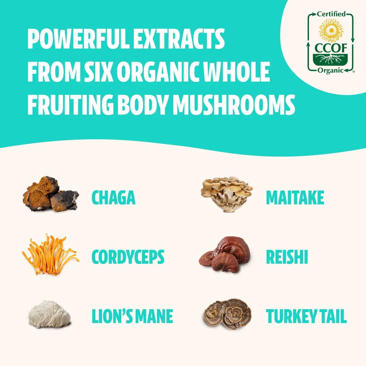 FreshCap Ultimate Mushroom Complex - Lions Mane, Reishi, Cordyceps, Chaga, Turkey Tail FreshCap Mushrooms Au supplements