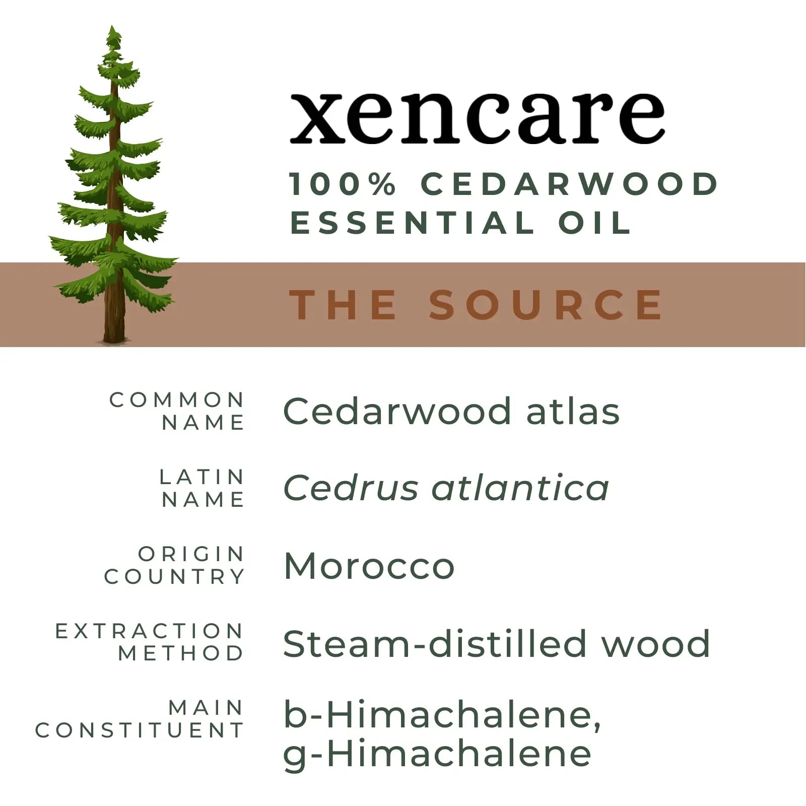 xencare Cedarwood USDA Organic Essential Oil | 100% Pure Natural Undiluted XenCare Au supplements