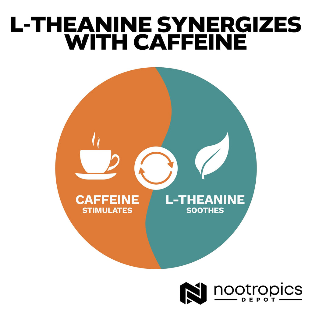 Nootropics Depot L-Theanine Capsules 200mg (180 Count) | Promotes Relaxation | Supports Healthy Stress Levels + Sleep Cycles | Promotes Cognitive Function + Focus | Amino Acid Supplement Nootropics Depot Au supplements