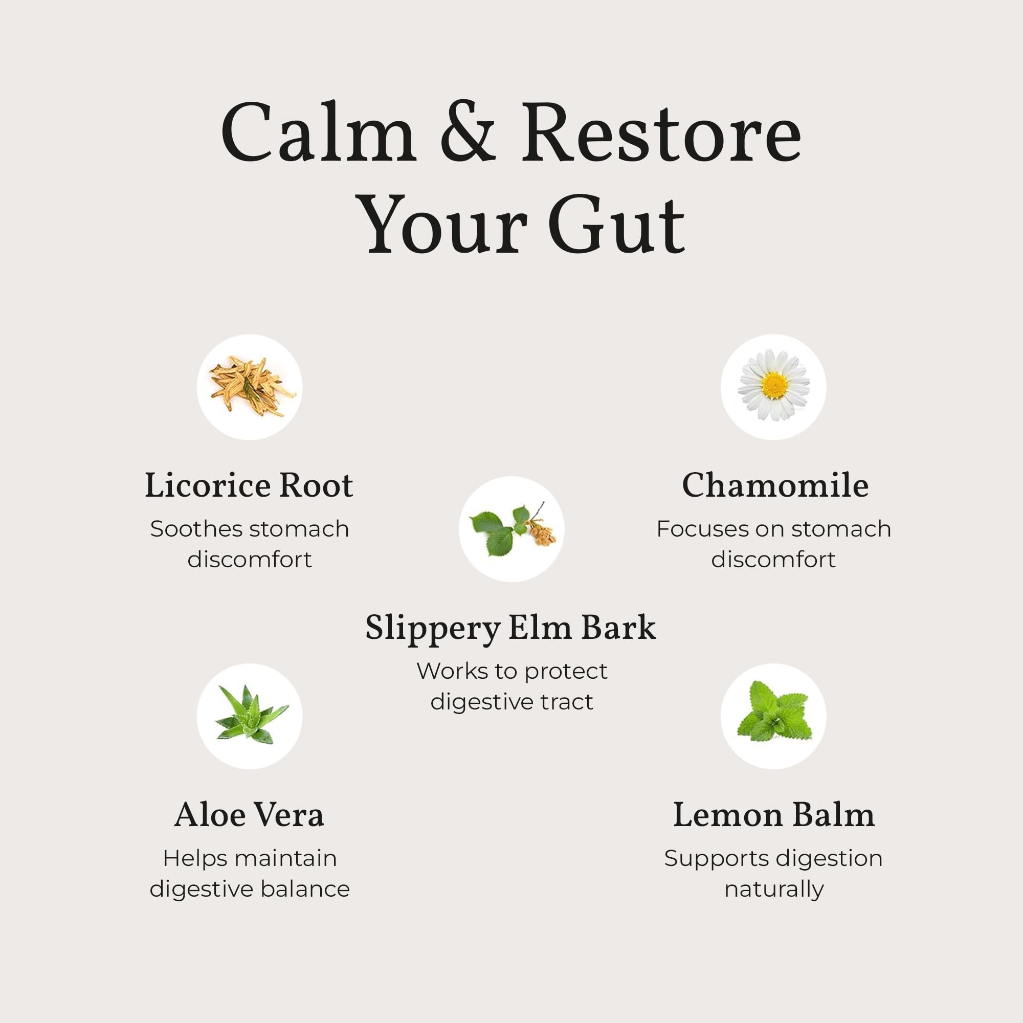 Terra Health Essentials Acid Relief - Plant Based Digestive Support Supplement for Comfortable Gut Function - Lemon Balm, Slippery Elm,