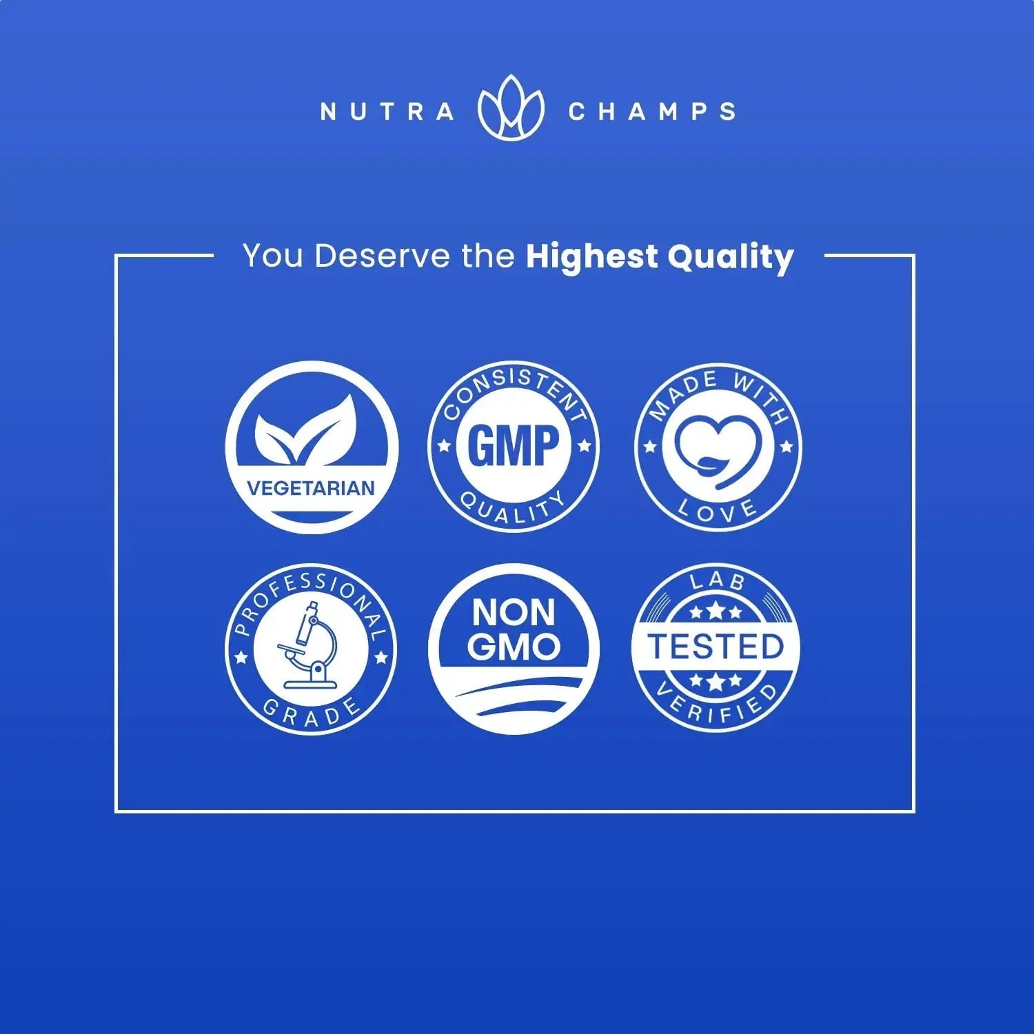 NutraChamps Multivitamin for Men, 240 Count, Vitamins A, B, C, D, E, Biotin, Zinc, Mens Gummy Multivitamins Supplement NutraChamps Au supplements