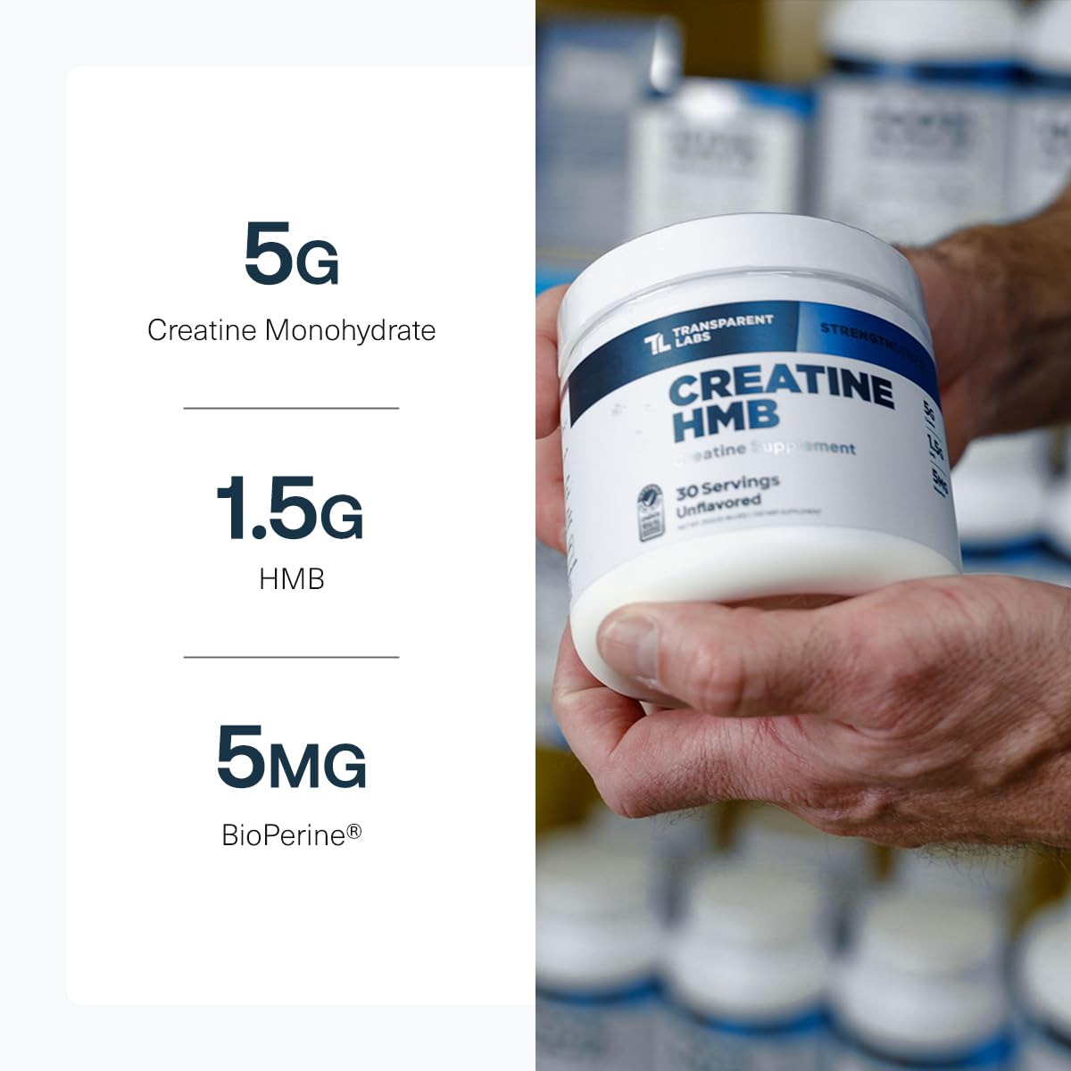 Transparent Labs Creatine HMB - Creatine Monohydrate Powder with HMB for Muscle Growth, Increased Strength, Enhanced Energy Output