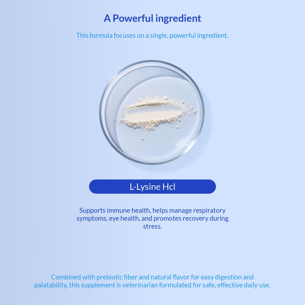 L-Lysine Supplement for Cats 900mg/scoop - Cat Supplement for Sneezing and Runny Nose, Cold, Immune Support, Eye Function