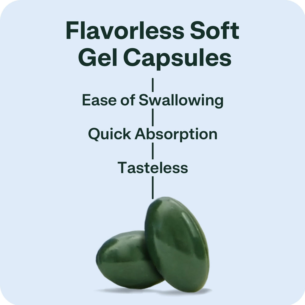 EPIJOINT Joint Support – Supports Mobility & Osteoarthritis – May Help Reduce Inflammation with Patented Epiitalis – 60 Capsules EPIJOINT Au supplements