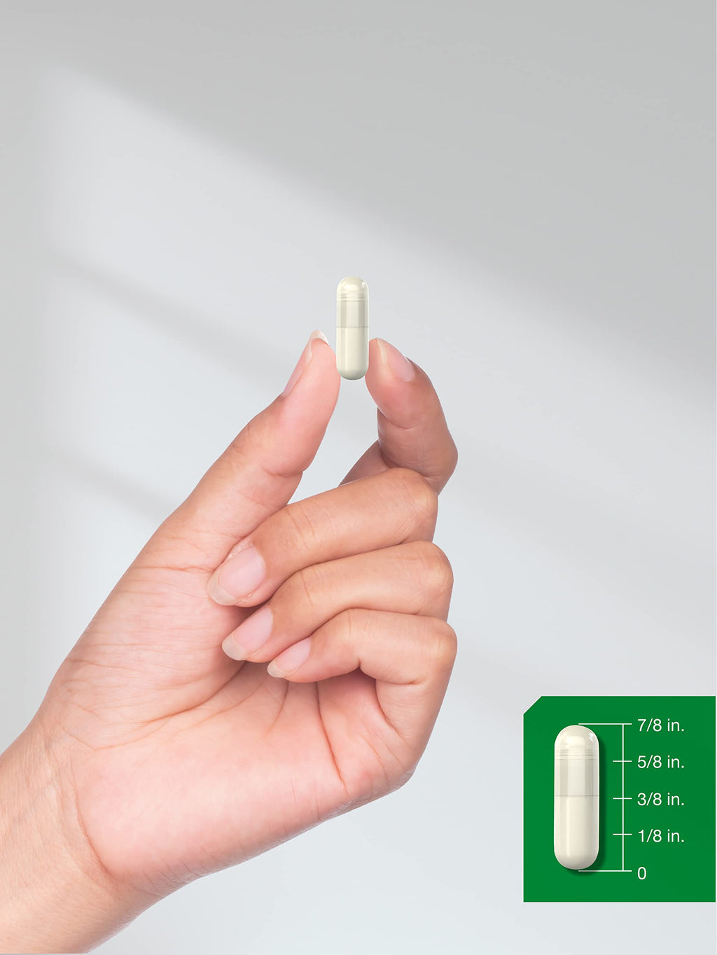 Horbäach Green Lipped Mussel |120 Capsules | from New Zealand | Premium Freeze Dried Mussel Powder