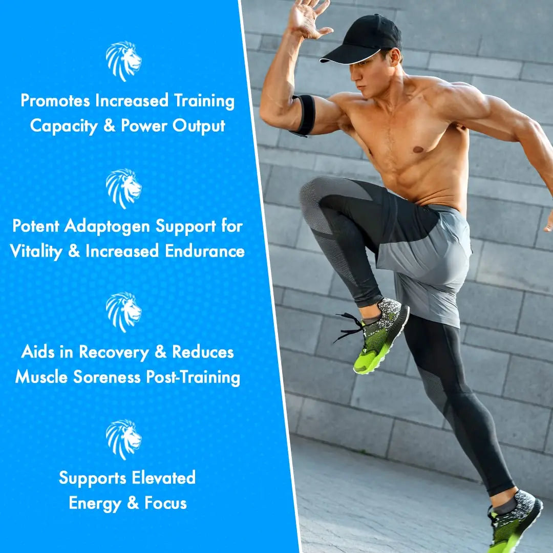 Alpha Lion Superhuman Sport Pre Workout Powder, Preworkout for Men & Women ALPHA LION Au supplements