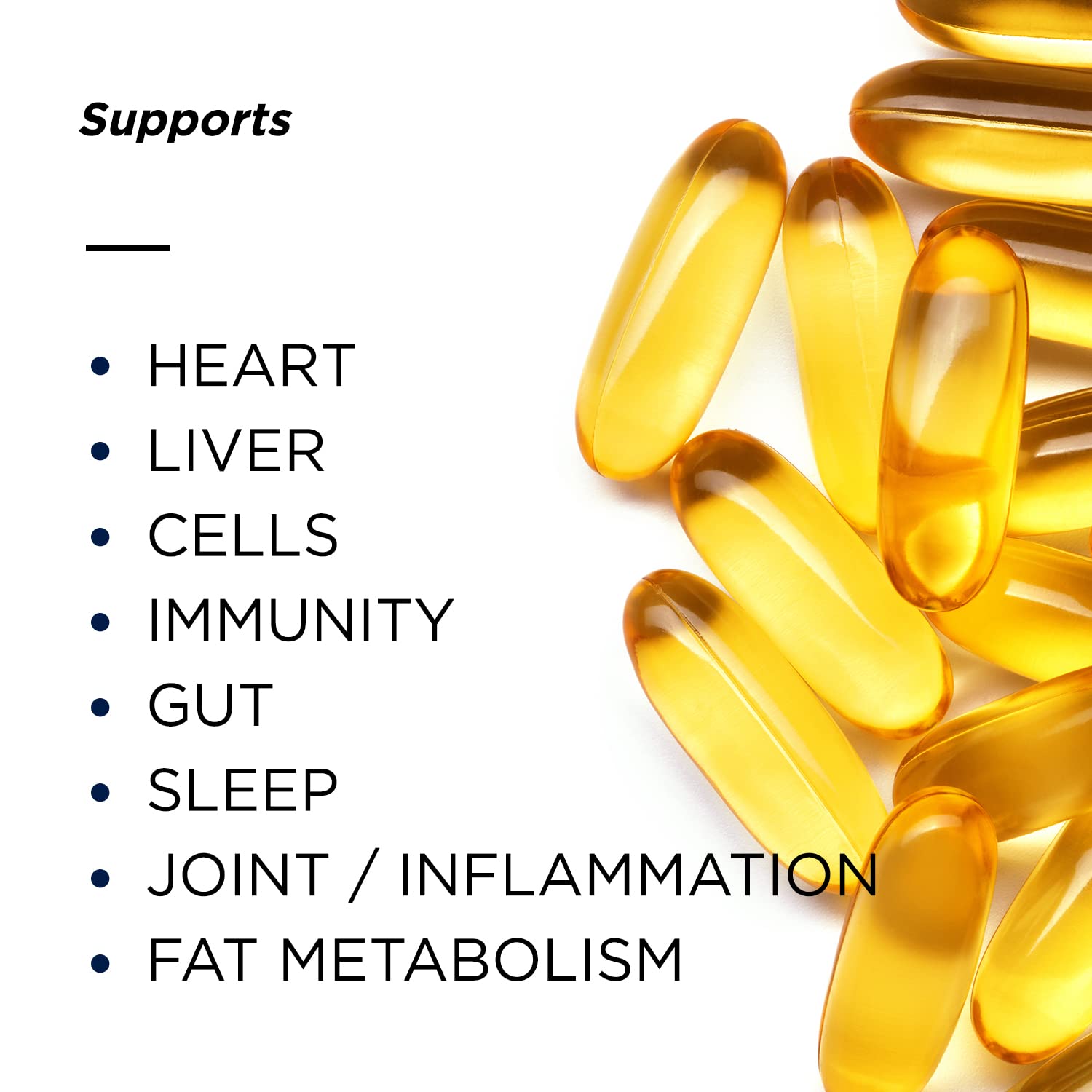 Primitive Scientific Nordic Pure Oil Complex (60 Fish Oil Capsules) for Brain, Immunity & Vision - Heart Supplement w/EPA, DHA, Vitamin D3, Choline - Omega 3 Supplements Primitive Scientific Au supplements